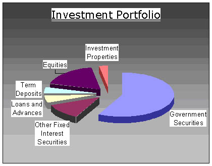Investment Portafolio